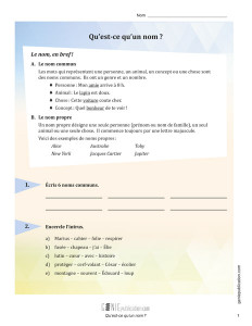 Qu'est-ce qu'un nom ?
