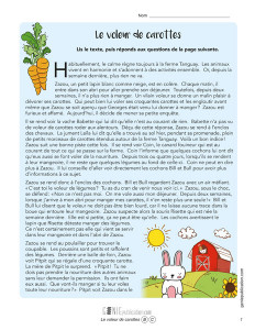 Le voleur de carottes