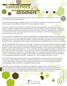 Gauchers et droitiers
