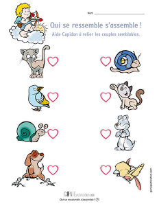 Qui se ressemble s'assemble !