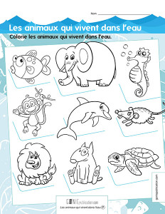 Les animaux qui vivent dans l'eau