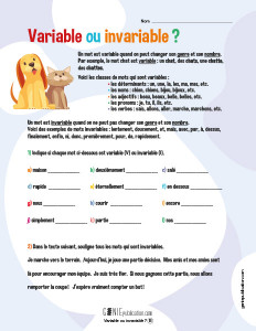 Variable ou invariable ?