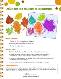 Dévoiler les feuilles d'automne