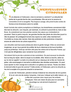 Merveilleuses citrouilles