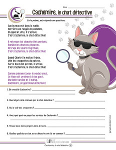 Cachemire, le chat détective