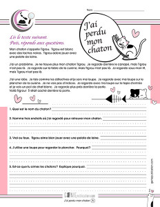 J'ai perdu mon chaton