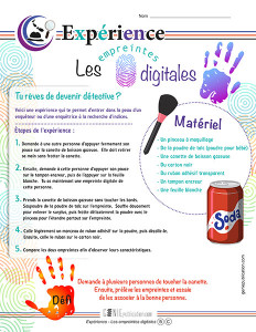 Expérience – Les empreintes digitales