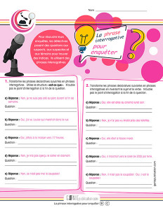 La phrase interrogative pour enquêter