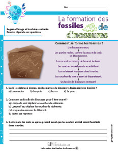 La formation des fossiles de dinosaures