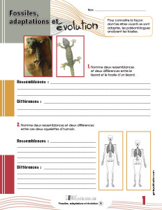 Fossiles, adaptations et évolution