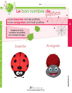 Le bon nombre de pattes