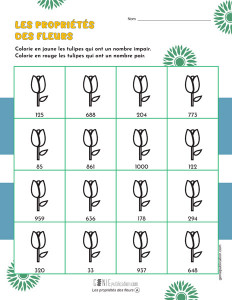 Les propriétés des fleurs