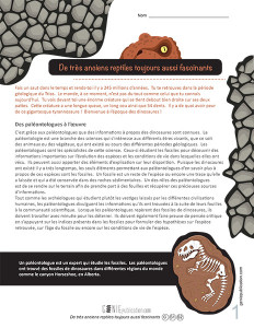 De très anciens reptiles toujours aussi fascinants