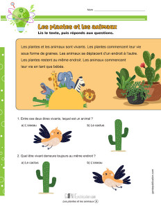 Les plantes et les animaux