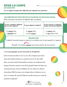 Sous la loupe – les adjectifs