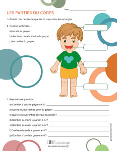 Les parties du corps
