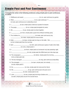 Simple Past and Past Continous