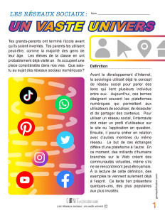 Les réseaux sociaux : un vaste univers