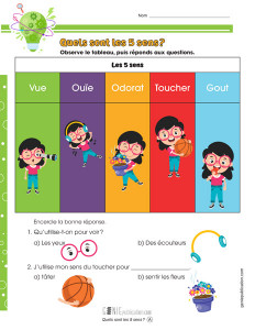 Quels sont les 5 sens ?