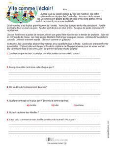 Vite comme l’éclair