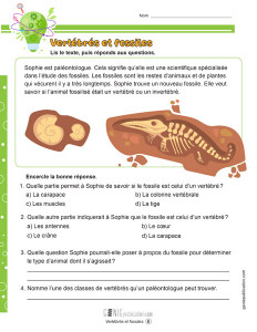 Vertébrés et fossiles