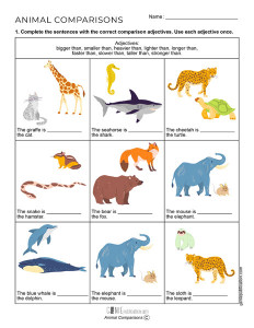 Animal Comparisons