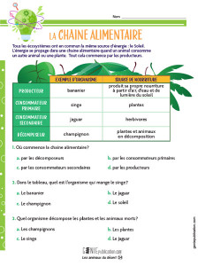 La chaine alimentaire