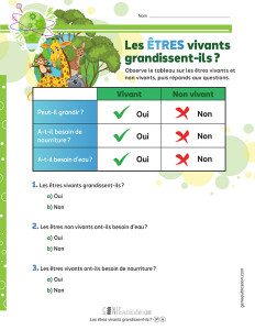Les êtres vivants grandissent-ils?