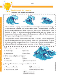 Contempler les vagues