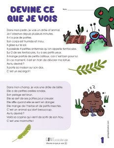 Devine ce que je vois