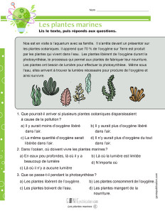 Les plantes marines