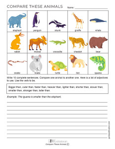 Compare These Animals