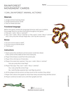 Rainforest Movement Cards