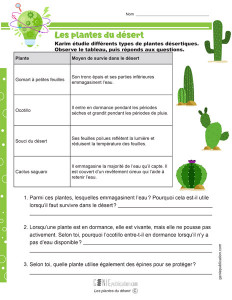 Les plantes du désert