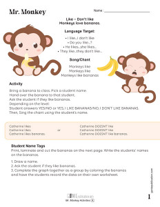 Mr. Monkey Activities