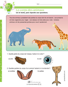 Le corps des animaux