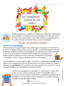 Les champignons : trésors de nos forêts