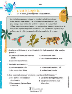 C’est la jungle ici !