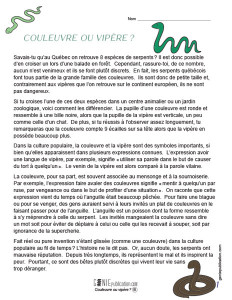 Couleuvre ou vipère ?