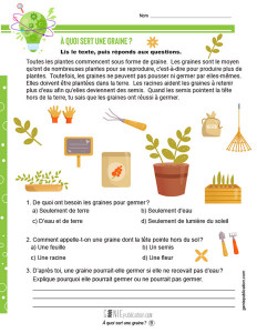 À quoi sert une graine ?