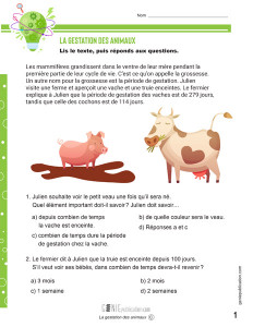 La gestation des animaux