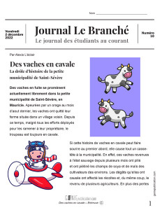 Des vaches en cavale – Entrevue