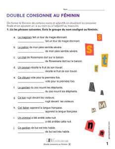 Double consonne au féminin