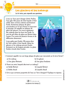 Les glaciers et les icebergs