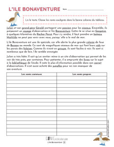 L'ile Bonaventure
