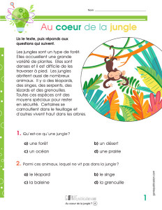 Au cœur de la jungle