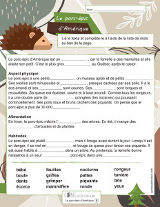 Le porc-épic d’Amérique