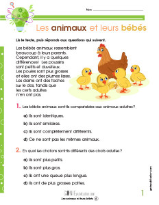 Les animaux et leurs bébés