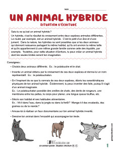 Un animal hybride – Situation d’écriture