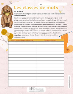 Les classes de mots